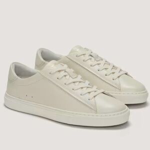 Everlane The Day Sneaker in Parchment leather low top lace up round toe cream 6
